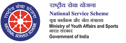 NSS Logo